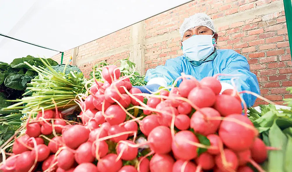 Mucho en juego. La gran agrobiodiversidad del Perú enfrenta sus horas más oscuras. Foto: Minagri