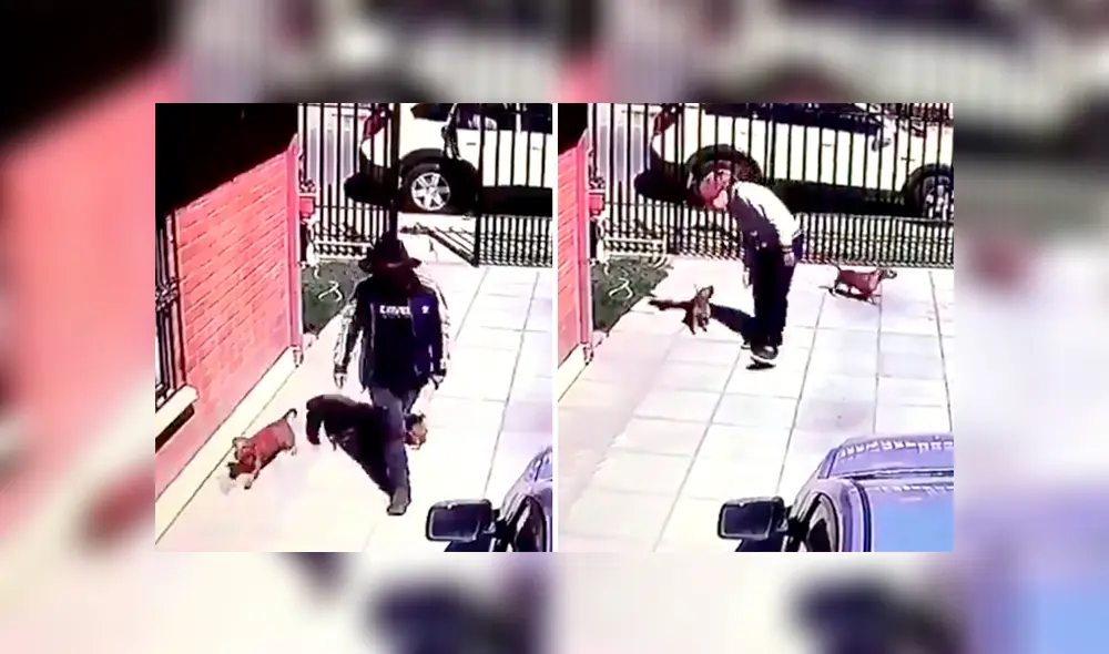 Desliza para saber los detalles sobre este viral de Facebook. Foto: Captura. Desliza para saber los detalles sobre este viral de Facebook. Foto: Captura.