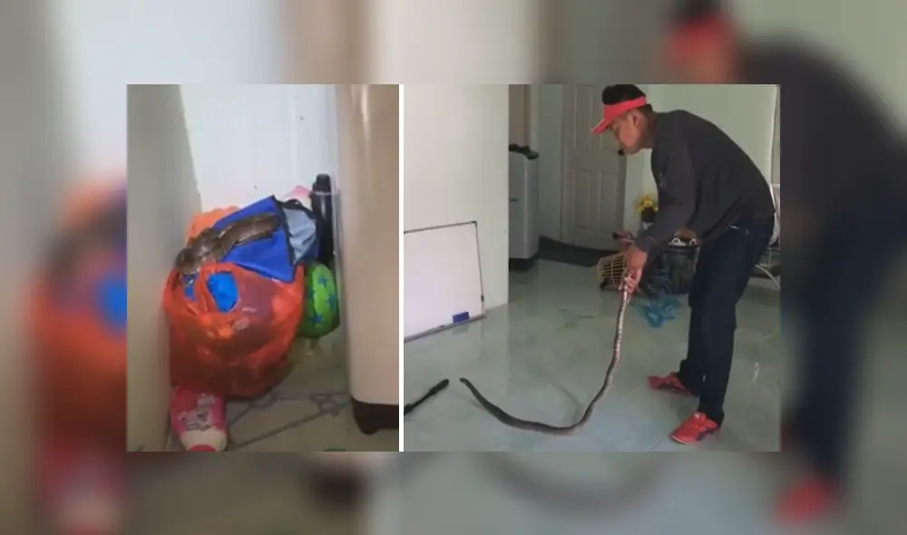 Desliza hacia la izquierda para ver las imágenes del viral de YouTube. Desliza hacia la izquierda para ver las imágenes del viral de YouTube.