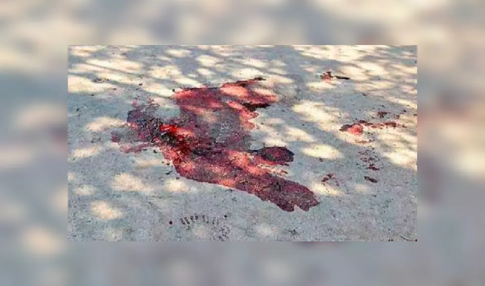 Vecinos hallan pulmones y vísceras humanas en lugar descampado [FOTOS]