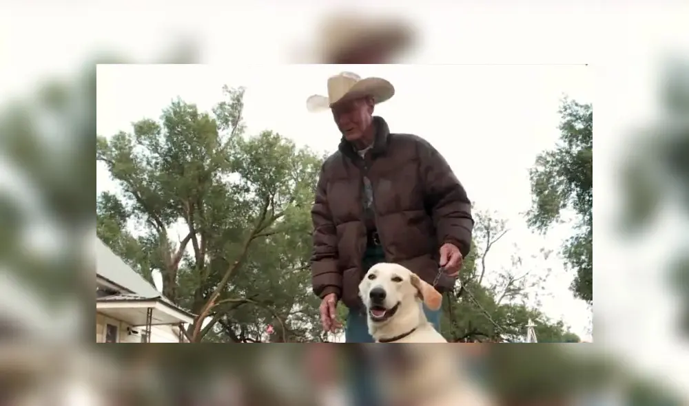 El perro disparó accidentalmente e hirió a la mujer en el muslo. Foto: captura