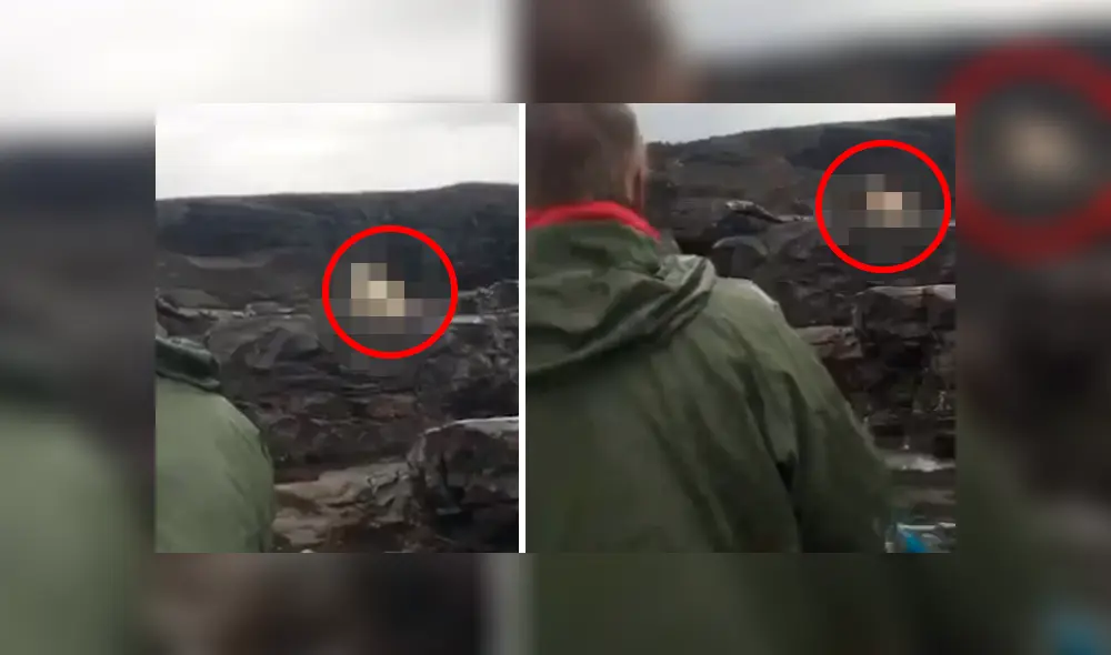 Un grupo de hombres detuvieron su pesca para rescatar a criatura.