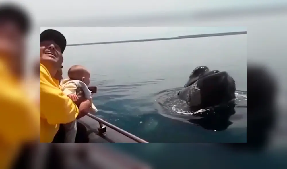 Osado papá acercó a su hija al mar buscando tener algún avistamiento de criaturas marinas, sin imaginar que tendría una impactante experiencia que ha sorprendido al mundo