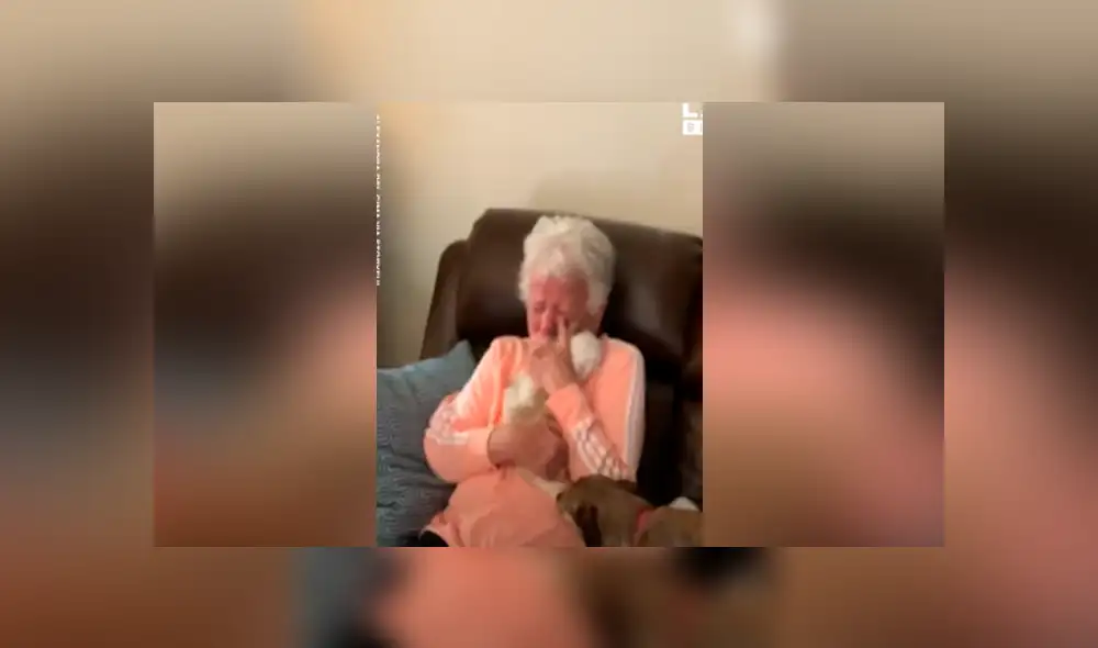 Facebook viral: mujer le regala cachorro a su madre y anciana tiene dramática reacción al verlo