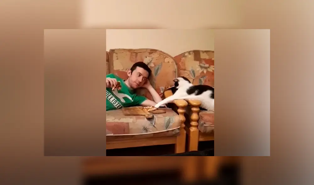 Desliza las imágenes para ver la curiosa escena que protagonizó este gatito al querer ‘robar’ un poco de comida a su dueño. Fotocapturas: ViralHog/YT Desliza las imágenes para ver la curiosa escena que protagonizó este gatito al querer ‘robar’ un poco de comida a su dueño. Fotocapturas: ViralHog/YT