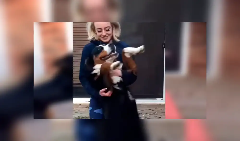 En Facebook, una joven intentó realizar un tutorial de yoga en su casa y no imaginó que su perro lo evitaría.