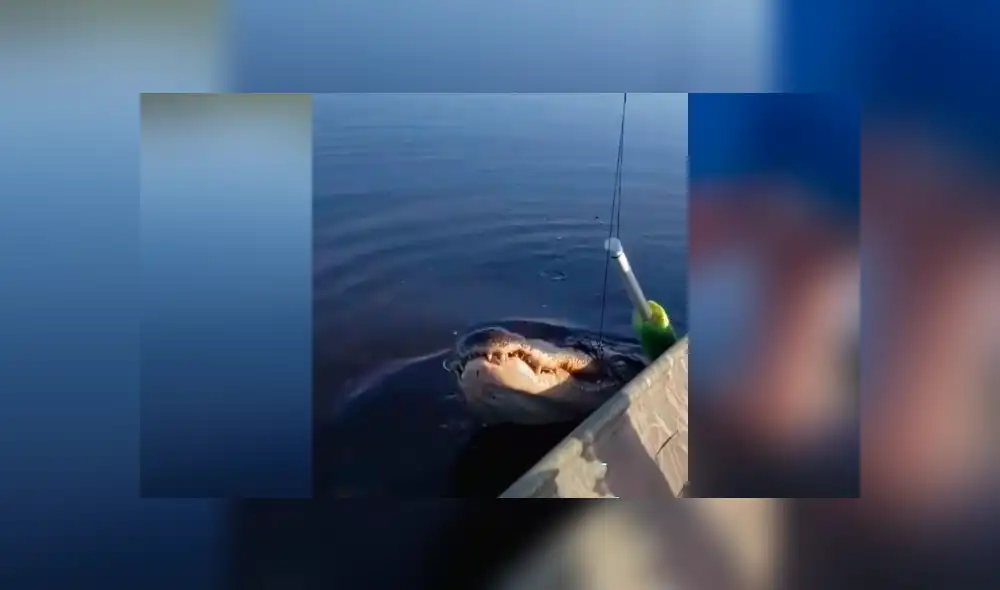 Desliza hacia la izquierda para ve el aterrador encuentro que se hizo viral en YouTube.