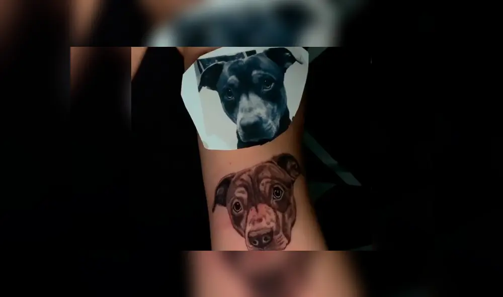 Desliza hacia la izquierda para ver el tatuaje que se hizo un joven con el rostro de su perro que se volvió viral en YouTube. Desliza hacia la izquierda para ver el tatuaje que se hizo un joven con el rostro de su perro que se volvió viral en YouTube.