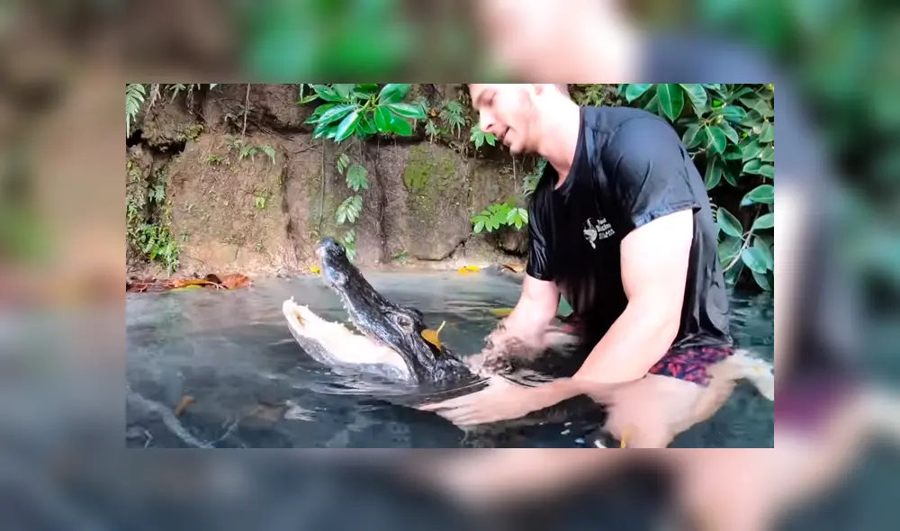 Un video viral de YouTube registró el momento en que un hombre ingresó a la piscina de un cocodrilo. Un video viral de YouTube registró el momento en que un hombre ingresó a la piscina de un cocodrilo.