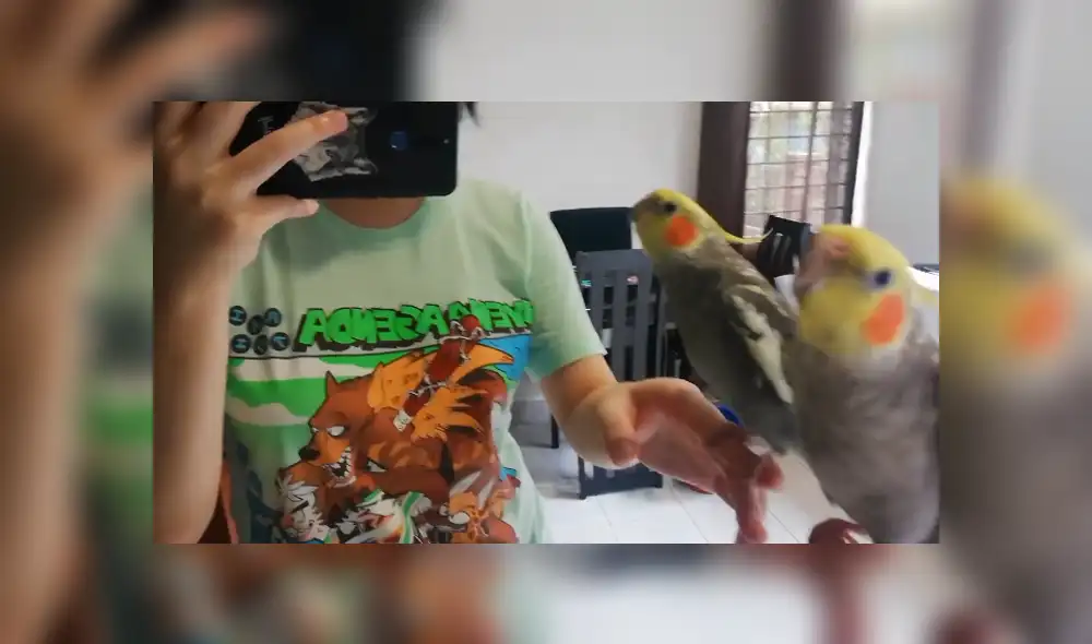 Desliza para ver los detalles del video viral publicado en Facebook. Foto: Captura.