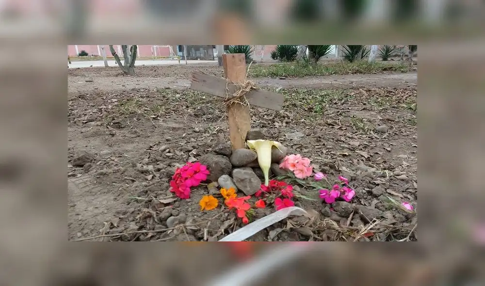 El cachorro fue enterrado en un parque del vecindario.