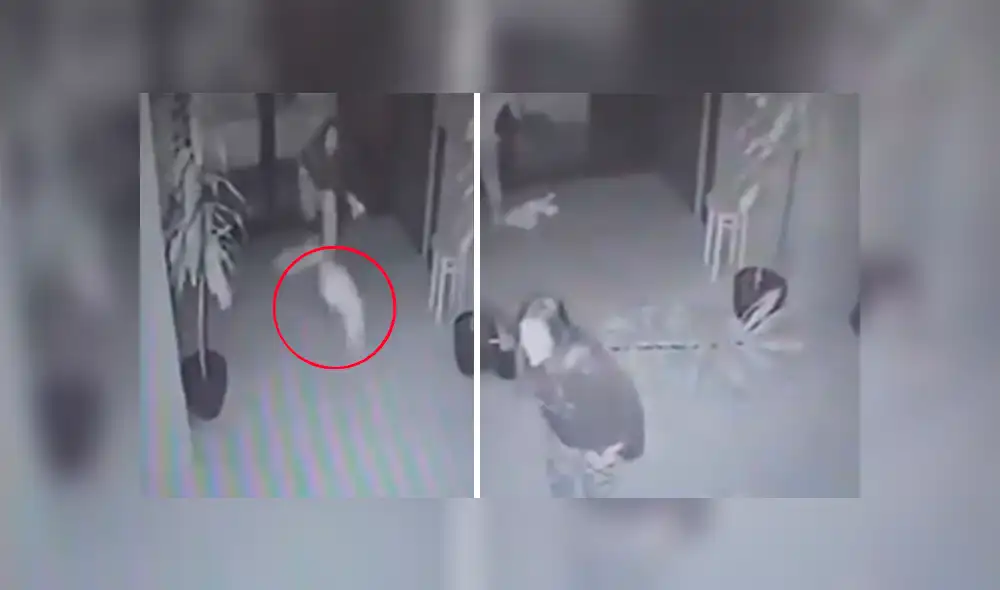 La mujer fue recluida en un centro de detención preventiva mientras continúa la investigación.