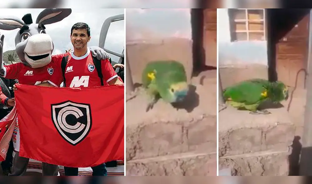 A las 15:00 horas del domingo se dará inicio al encuentro que podría marcar una nueva etapa para el Cienciano A las 15:00 horas del domingo se dará inicio al encuentro que podría marcar una nueva etapa para el Cienciano