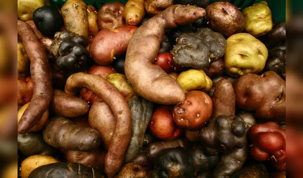 Perú, tierra de alimentos Perú, tierra de alimentos