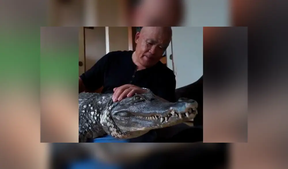 Facebook viral: anciano cuida a cocodrilo como si fuera su hijo y comportamiento de animal sorprende al mundo