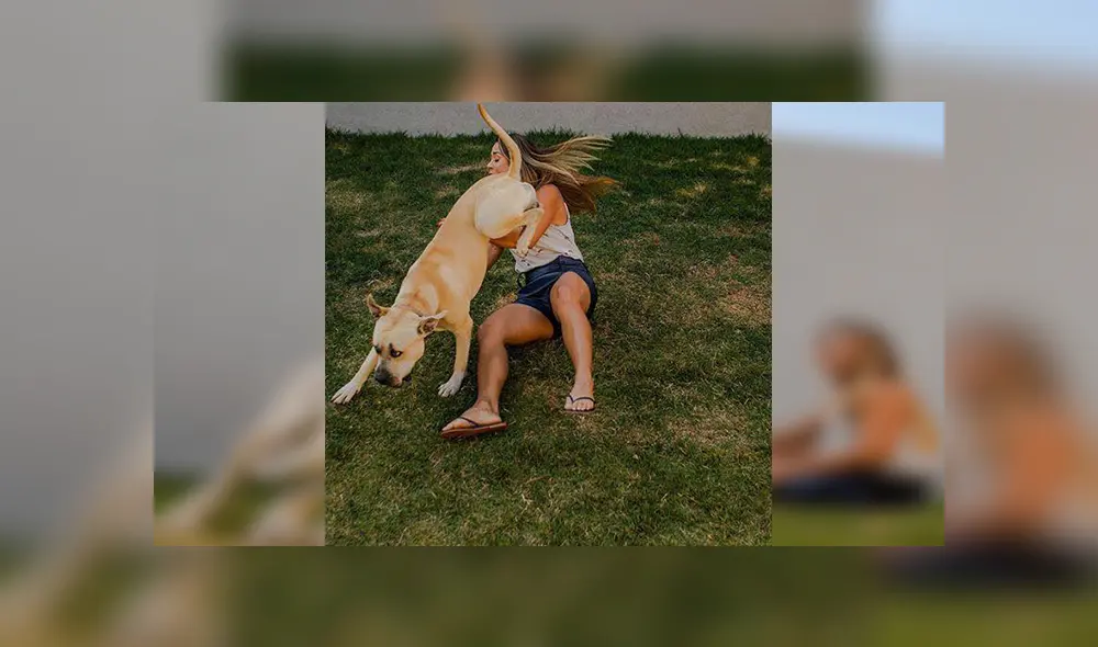 En Facebook, un travieso perro arruinó la sesión de fotos de sus dueños al colocarse delante de la cámara.