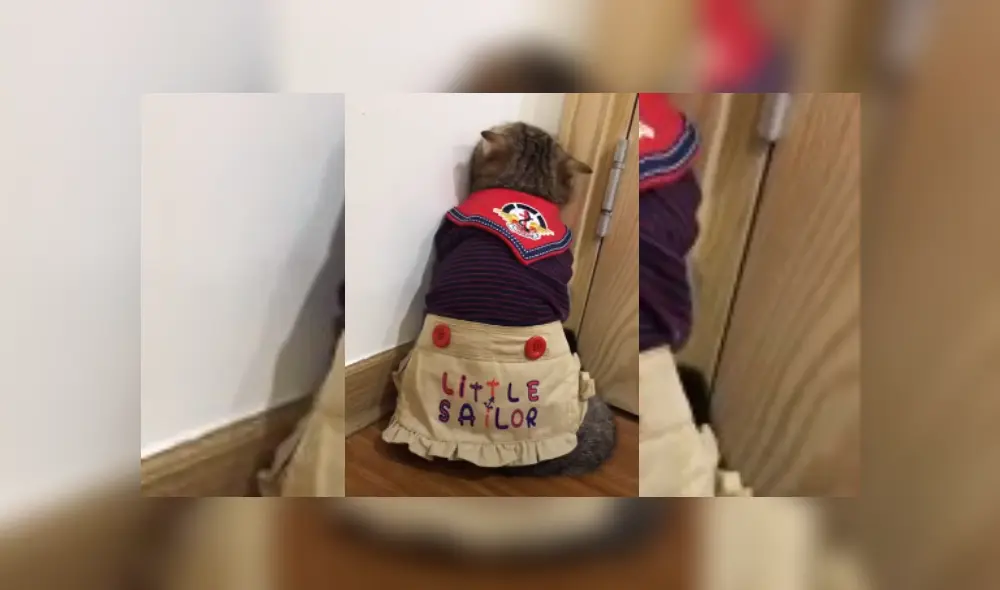 Desliza hacia la izquierda para ver más del video viral. Desliza hacia la izquierda para ver más del video viral.