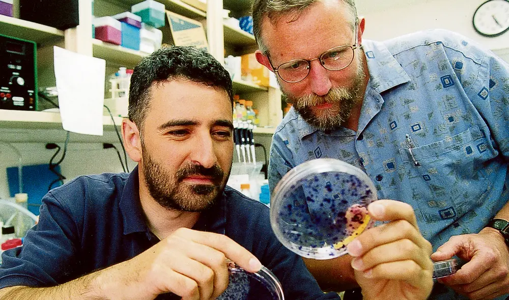 cientificos hepatitis c charles rice cientificos hepatitis c charles rice