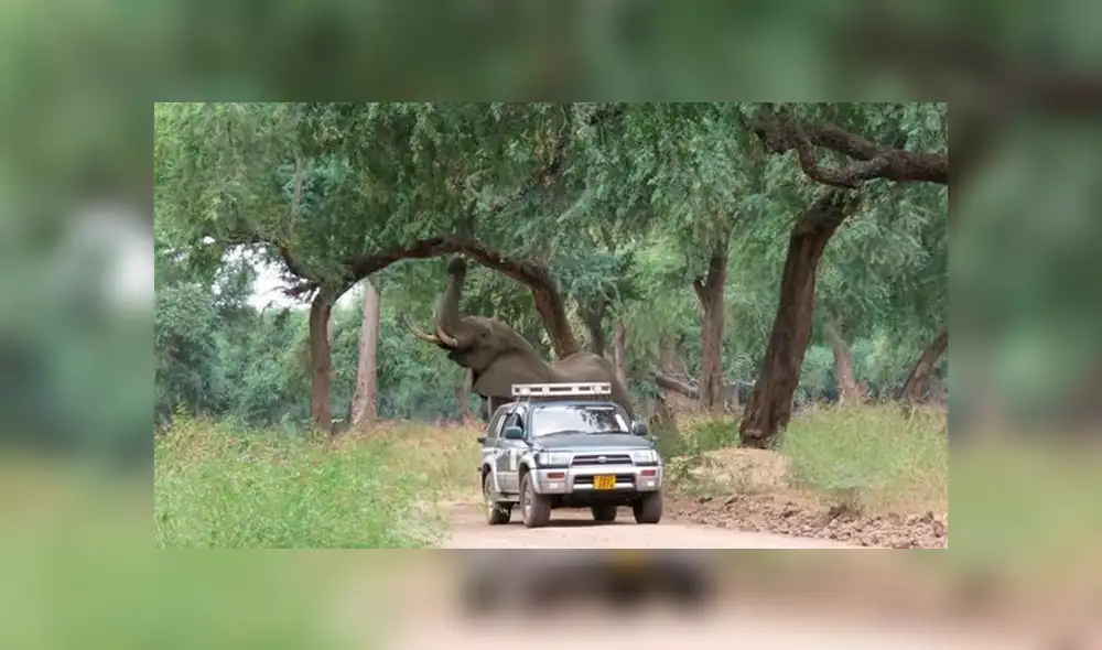 Desliza para ver las fotos que conmovieron a miles en Facebook. Foto: Captura. Desliza para ver las fotos que conmovieron a miles en Facebook. Foto: Captura.