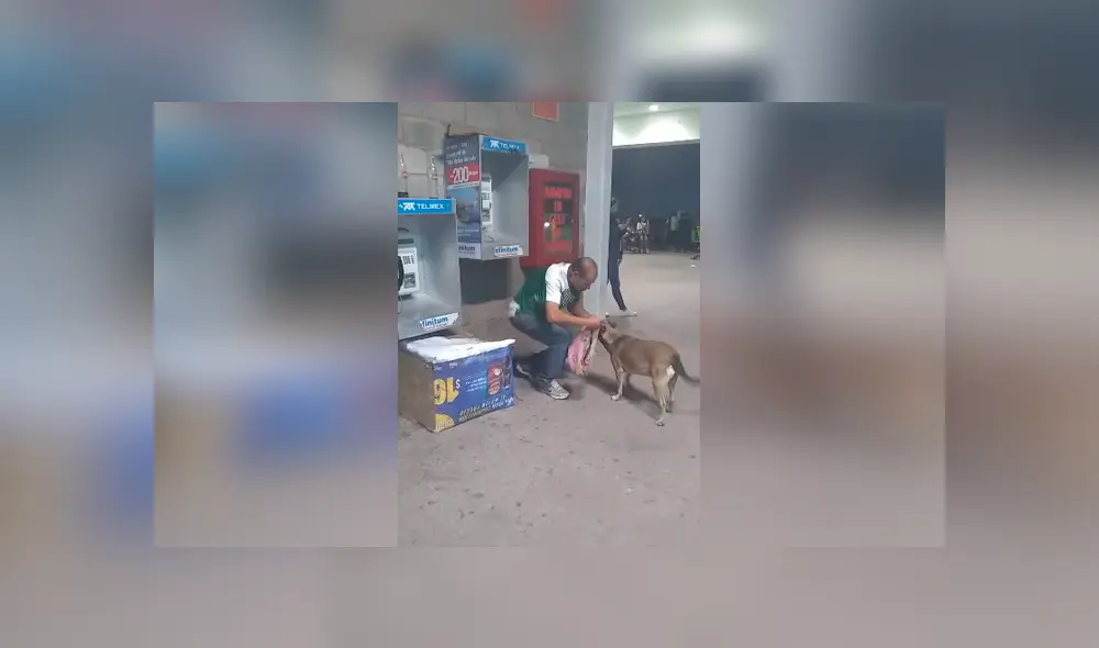 Desliza las imágenes para conocer la tierna acción de un hombre al brindarle abrigo y ropa a un perro callejero. Foto: Juan Echeverria.