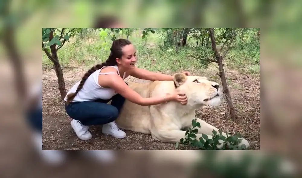 YouTube viral: Entra a calabozo de feroz depredador y este asombra a todos con una insólita reacción [VIDEO]