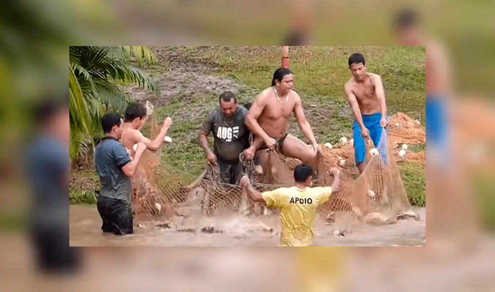 YouTube viral: Entran a pescar y quedan en shock al ver extrañas criaturas en su red [VIDEO]