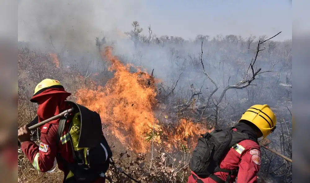 Firefighters try to control a fire near Charagua, Bolivia, in the border with Paraguay, south of the Amazon basin, on August 29, 2019. - Fires have destroyed 1.2 million hectares of forest and grasslands in Bolivia this year, the government said on Wednesday, although environmentalists claim the true figure is much greater. The news comes after leftist President Evo Morales suspended his re-election campaign on Monday to direct the government's response to a growing environmental disaster in the Bolivian portion of the Amazon rainforest, where wildfires have been raging since May. (Photo by AIZAR RALDES / AFP)