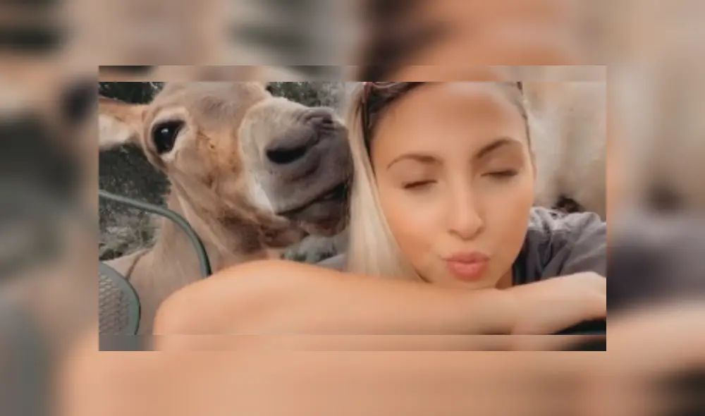 Desliza las imágenes para ver más detalles sobre este emocionante reencuentro que conmovió las redes sociales. (Foto: captura / TikTok / @_soph.xox._)