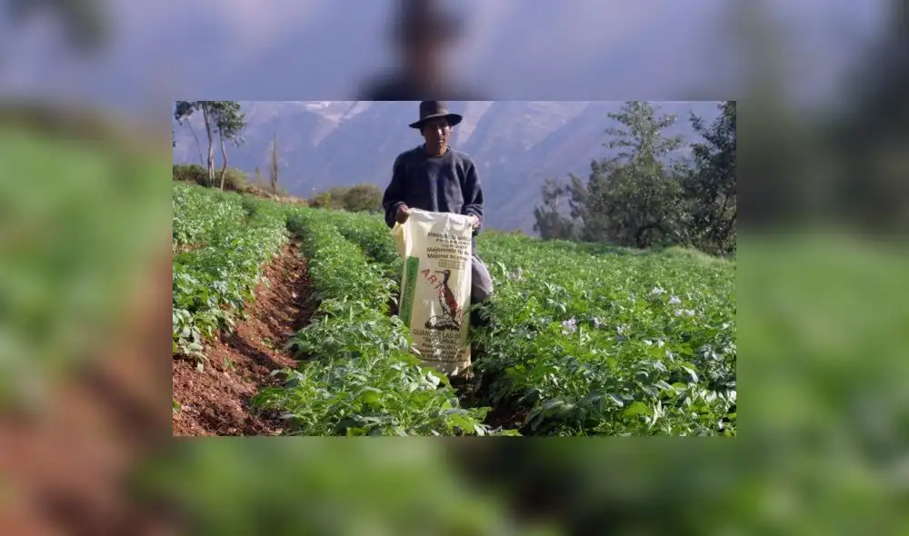 Ministerio de Agricultura: sector agropecuario creció 9% en julio