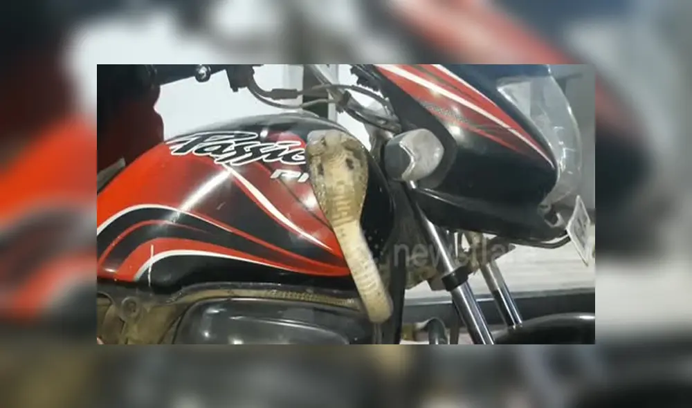 Desliza hacia la izquierda para ver las imágenes del viral de Facebook. Foto: Captura. Desliza hacia la izquierda para ver las imágenes del viral de Facebook. Foto: Captura.