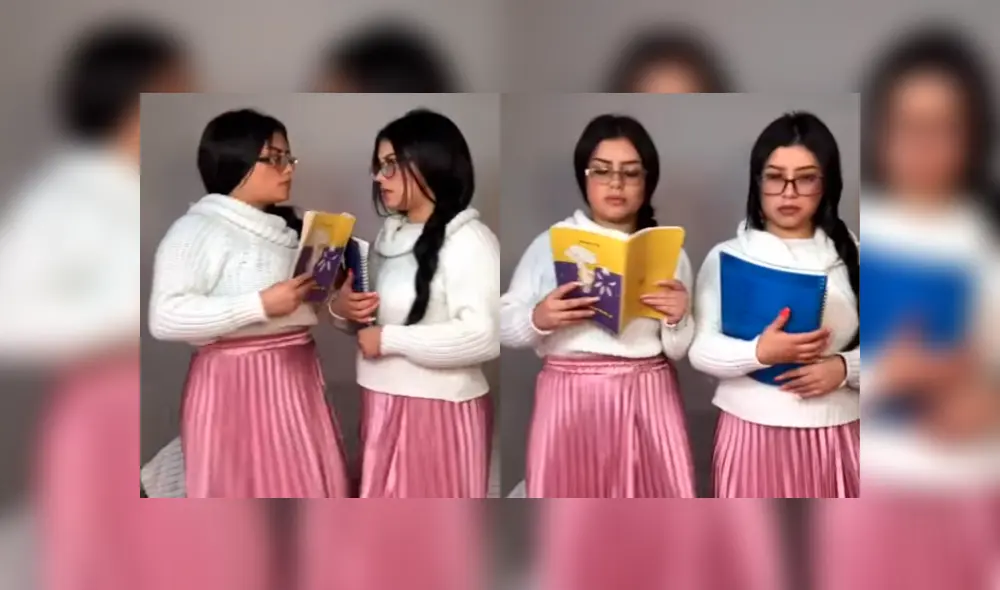 Desliza para ver el desenlace de este video viral publicado en TikTok. Foto: Captura.