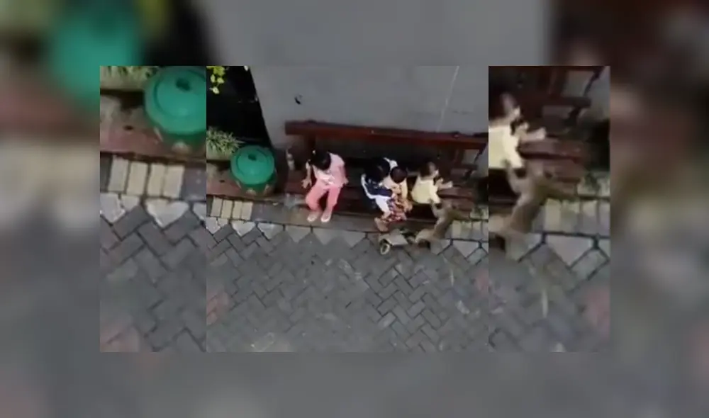 Desliza hacia la izquierda para ver más del video viral