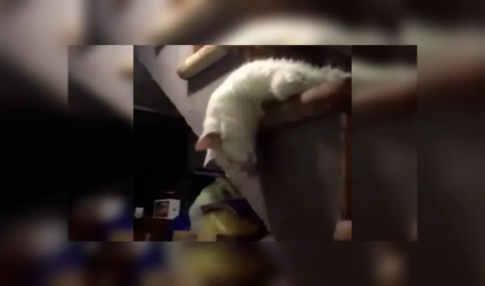 Desliza para ver el desenlace de este video viral de Facebook. Foto: Captura.