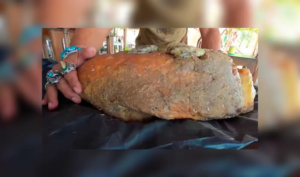 El hombre desconocía que lo que había encontrado en el mar valía más de 300 mil dólares. Foto: captura El hombre desconocía que lo que había encontrado en el mar valía más de 300 mil dólares. Foto: captura
