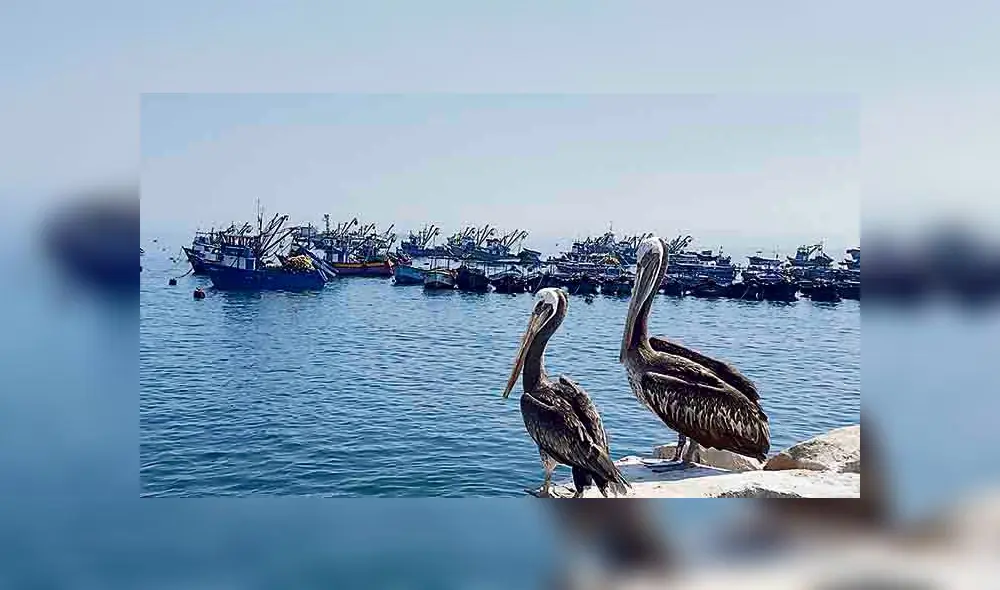 Pescadores y su mar de reclamos Pescadores y su mar de reclamos