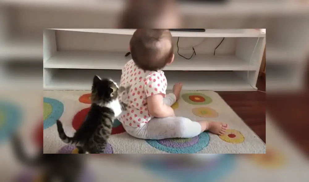 Desliza hacia la izquierda para ver las imágenes del viral de Facebook.