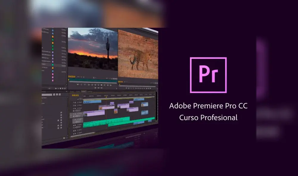 Adobe Premiere.