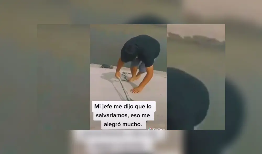 Desliza hacia la izquierda para ver más del video viral. Fotocaoptura: TikTok Desliza hacia la izquierda para ver más del video viral. Fotocaoptura: TikTok