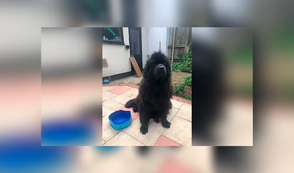 Desliza las imágenes hacia la izquierda para conocer la terrible experiencia que vivió una mujer al comprar por Internet. Foto: Upsocl.