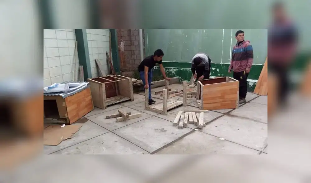 Pedro Delgado Gozar se ha convertido en el principal difusor de la Ley de Protección y Bienestar Animal. Pedro Delgado Gozar se ha convertido en el principal difusor de la Ley de Protección y Bienestar Animal.