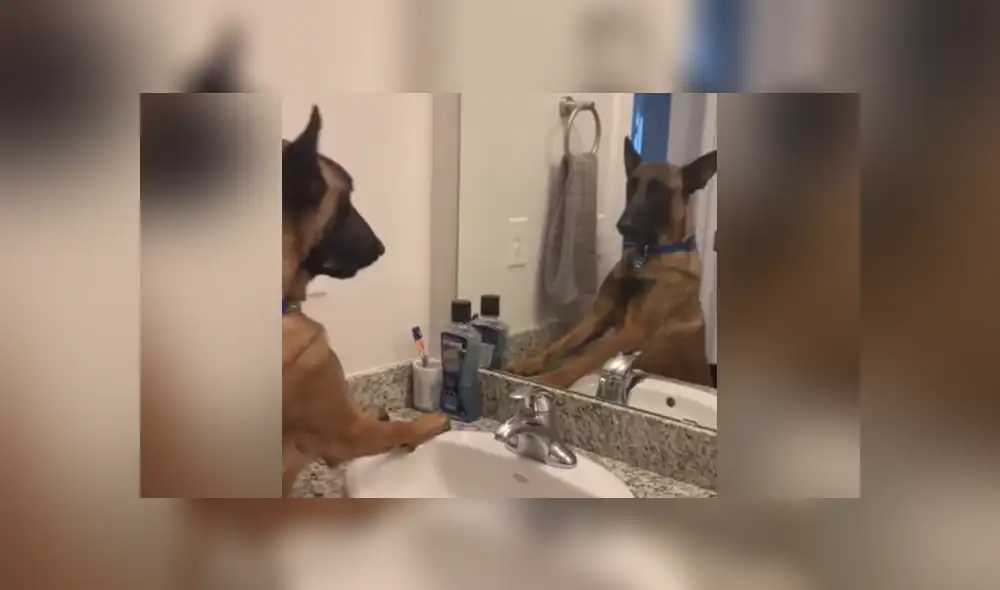 Desliza a la izquierda para conocer más sobre este nuevo video viral que ha hecho reír a miles en Facebook. Foto: Captura. Desliza a la izquierda para conocer más sobre este nuevo video viral que ha hecho reír a miles en Facebook. Foto: Captura.