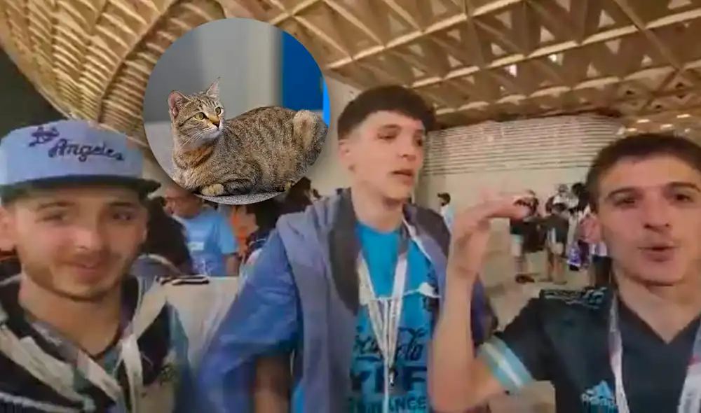 Hinchada argentina le recuerda a Brasil la 'maldición del gato'. Foto: composición LR