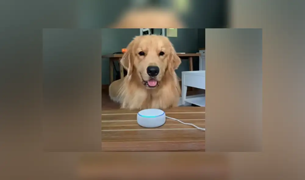 Desliza hacia la izquierda para ver las imágenes del viral de Facebook. Desliza hacia la izquierda para ver las imágenes del viral de Facebook.