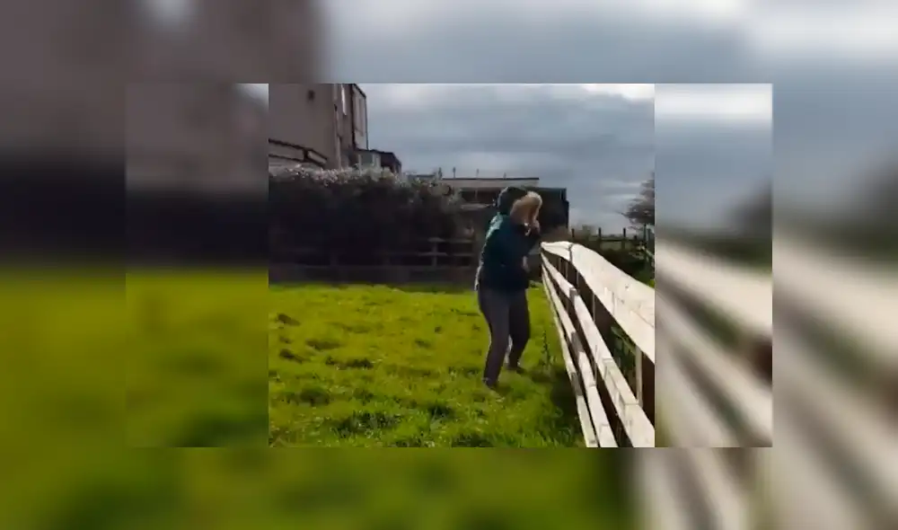 Facebook viral: chica reta a alpaca en duelo de baile y termina humillada por esto [VIDEO] 