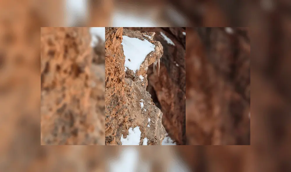 ¿Puedes encontrar al leopardo camuflado en la montaña?: el nuevo reto viral sensación en redes sociales [FOTOS]