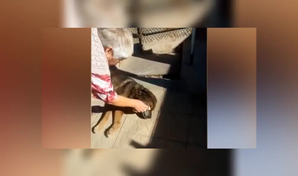 Desliza hacia la izquierda para ver cómo luce el perro que se ha vuelto viral en YouTube.