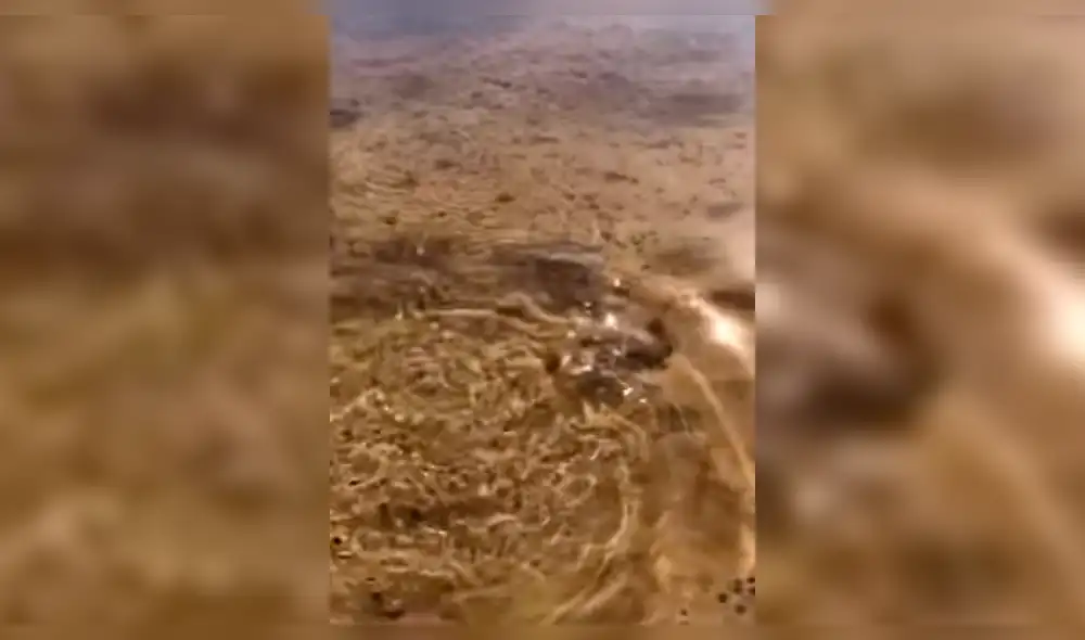 Facebook: se asustó al regresar un pez a lago y ocurre algo espeluznante [VIDEO]