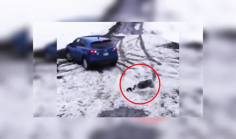 Desliza las imágenes para ver más sobre esta valerosa acción que se hizo viral en YouTube. (Foto: captura) Desliza las imágenes para ver más sobre esta valerosa acción que se hizo viral en YouTube. (Foto: captura)