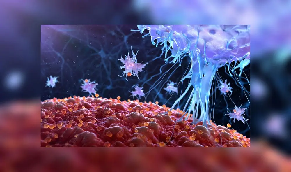 Representación de cómo actúa el virus oncolítico, diseñado para destruir células cancerosas. Crécito: Imugene.