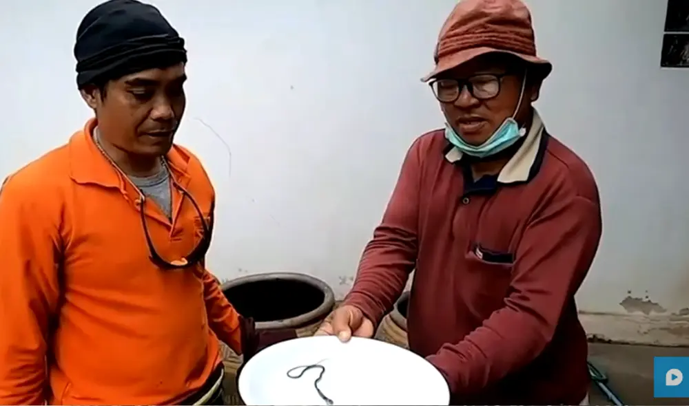 Desliza hacia la izquierda para ver las imágenes del video viral. Foto: captura de YouTube.
